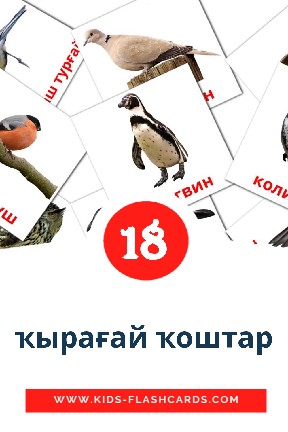 18 carte illustrate di ҡырағай ҡоштар per la scuola materna in bashkir