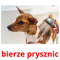 bierze prysznic picture flashcards