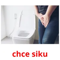 chce siku picture flashcards