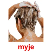 myje picture flashcards