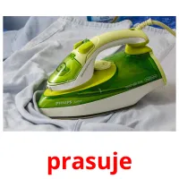 prasuje picture flashcards