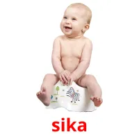 sika picture flashcards