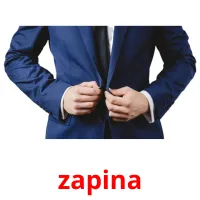 zapina picture flashcards