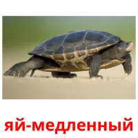 яй-медленный billedkort for børn med billeder