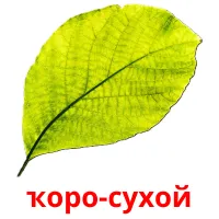 ҡоро-сухой billedkort for børn med billeder