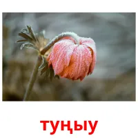 туңыу billedkort for børn med billeder