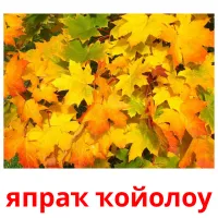 япраҡ ҡойолоу billedkort for børn med billeder