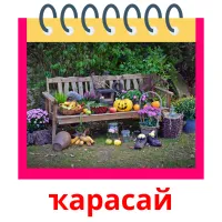 ҡарасай ansichtkaarten