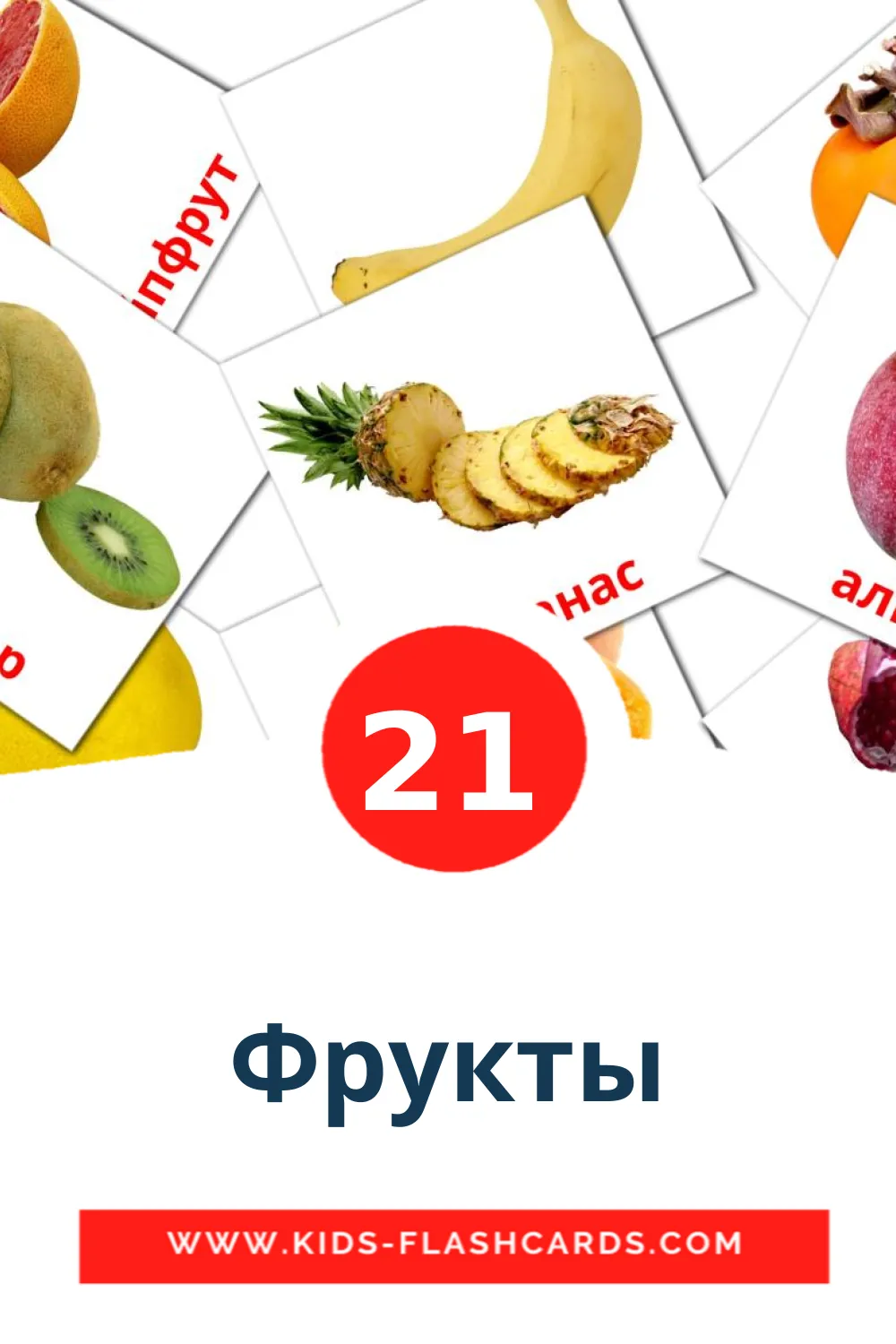 21 សត្វសមុទ្រ Picture Cards for Kindergarden in bashkir