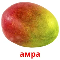 амра picture flashcards