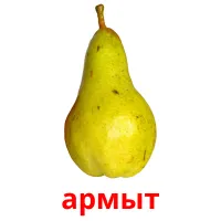 армыт picture flashcards