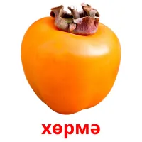 хөрмә picture flashcards