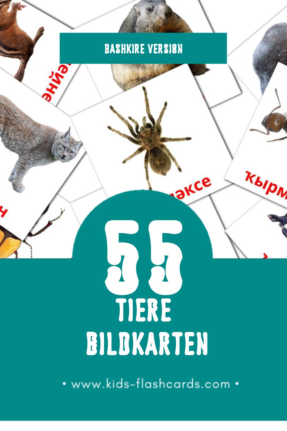 Visual Животни Flashcards für Kleinkinder (91 Karten in Bashkir)