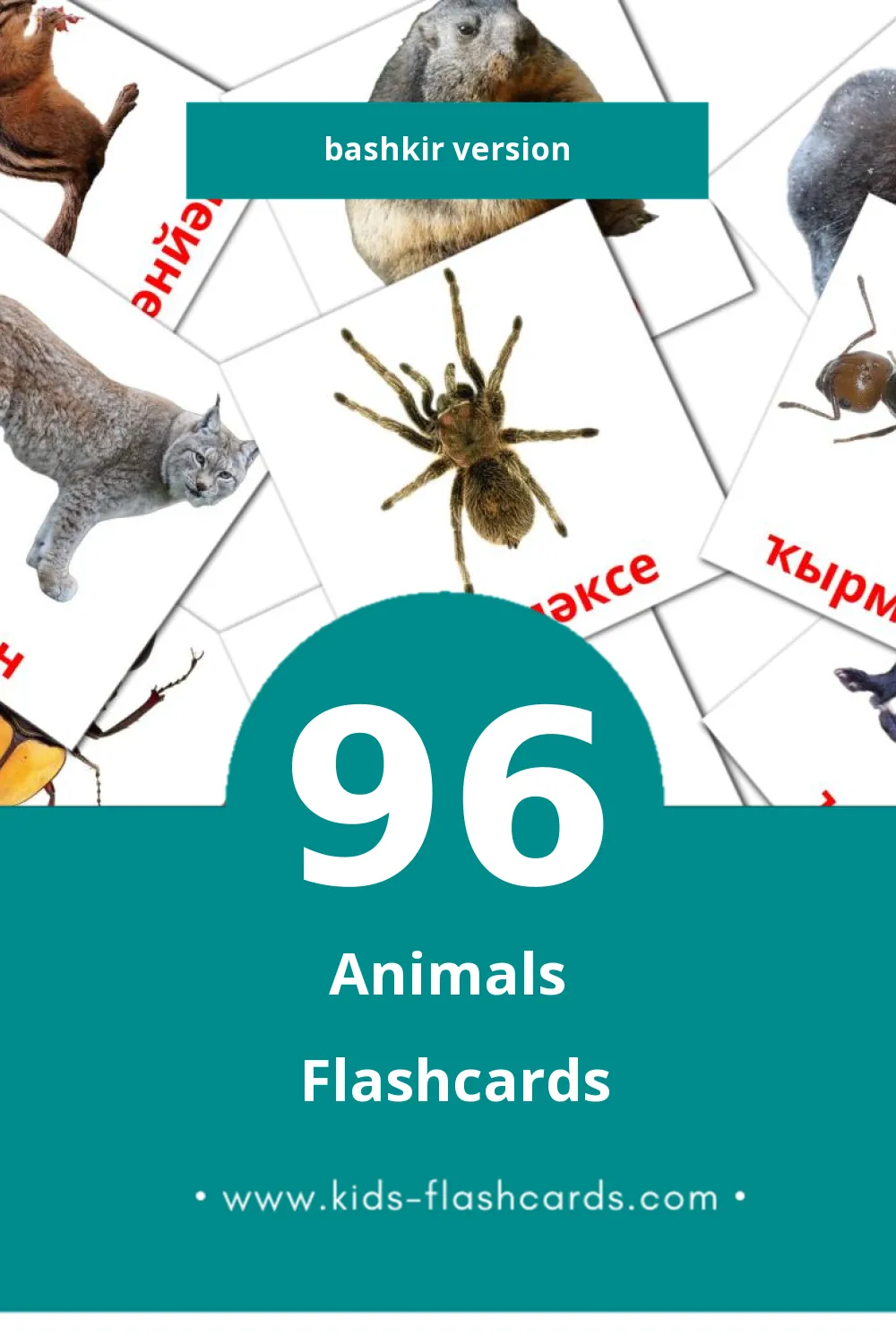 Visual Животни Flashcards for Toddlers (96 cards in Bashkir)