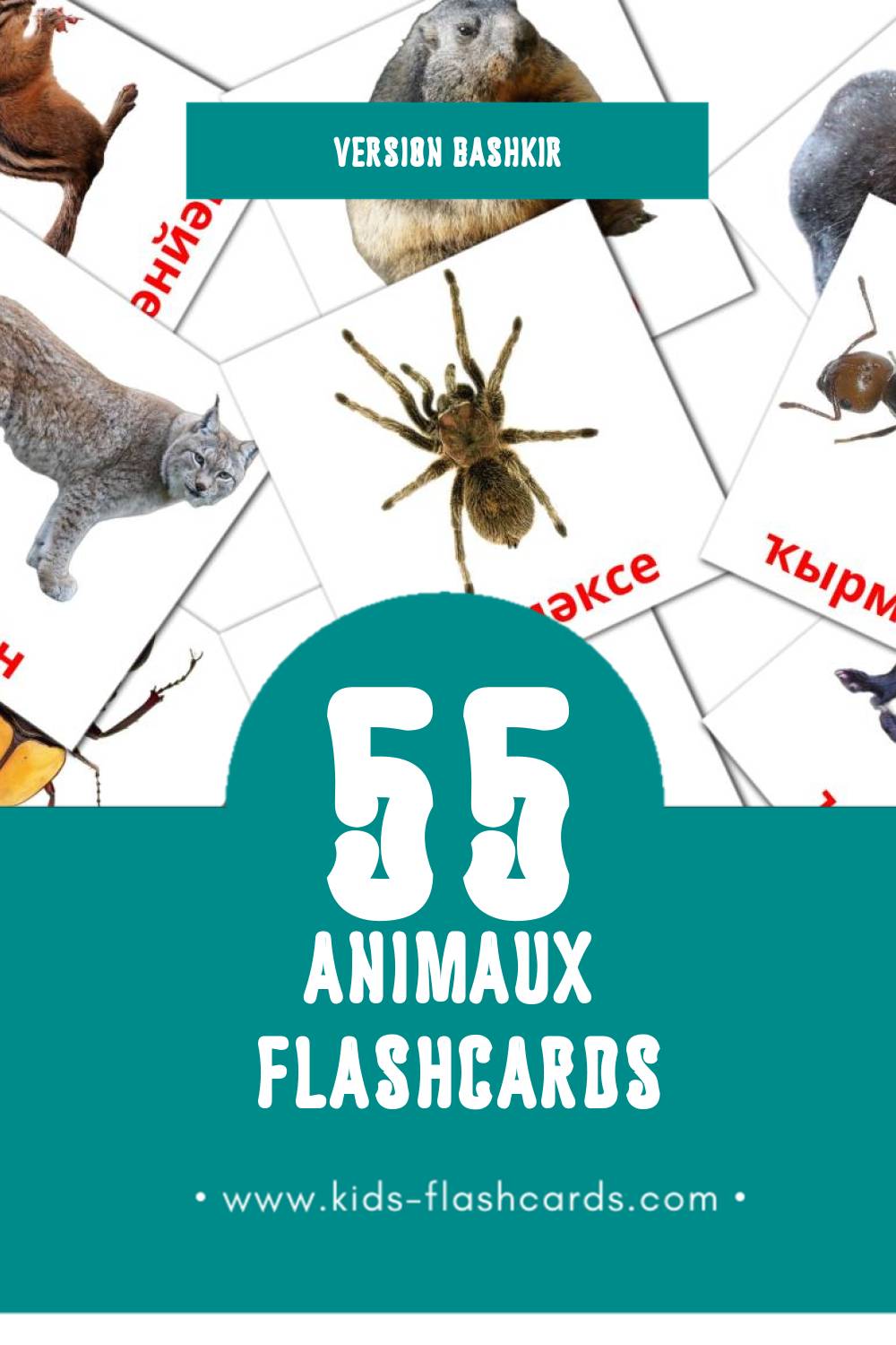 Flashcards Visual Животни pour les tout-petits (91 cartes en Bashkir)