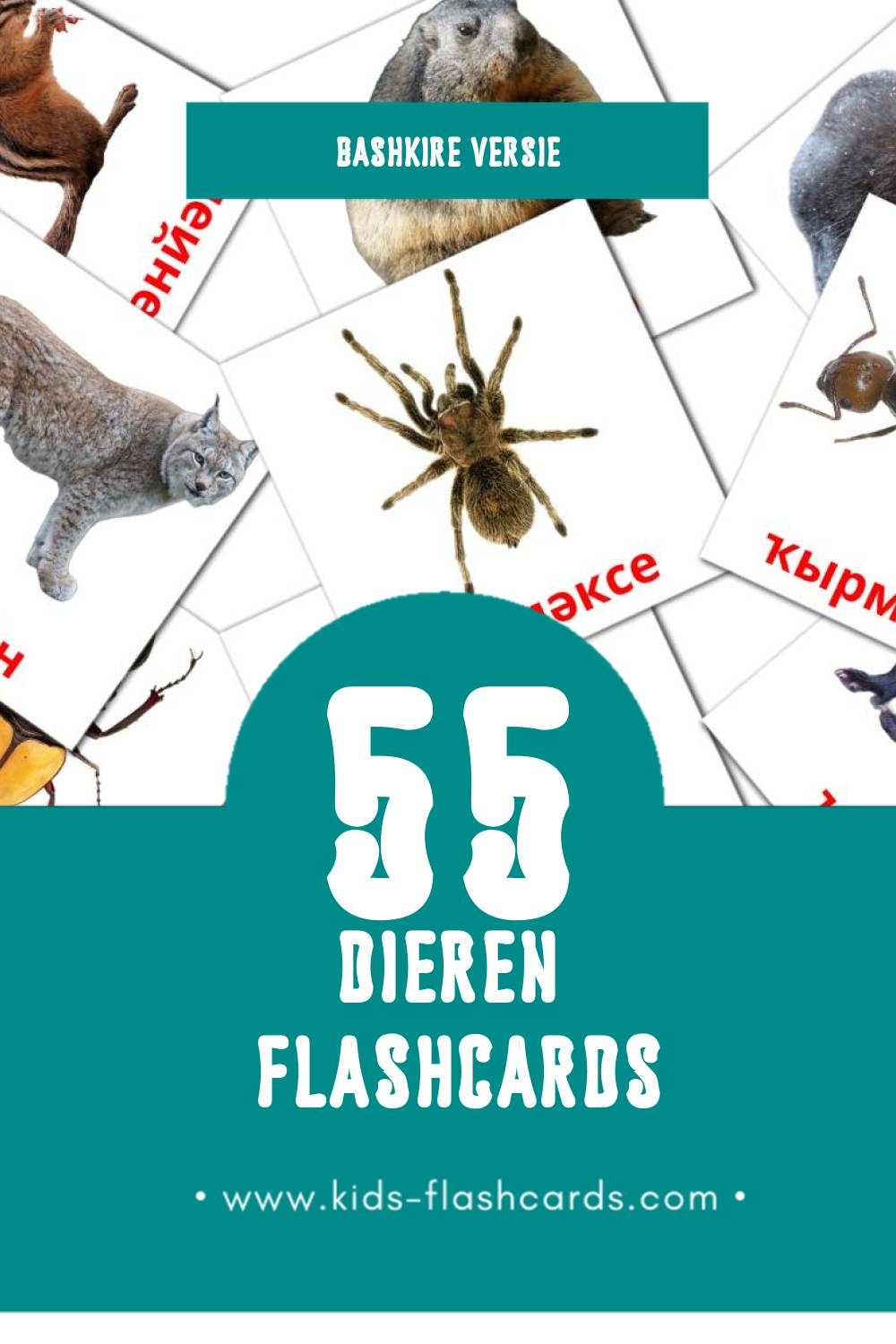 Visuele Животни Flashcards voor Kleuters (91 kaarten in het Bashkir)