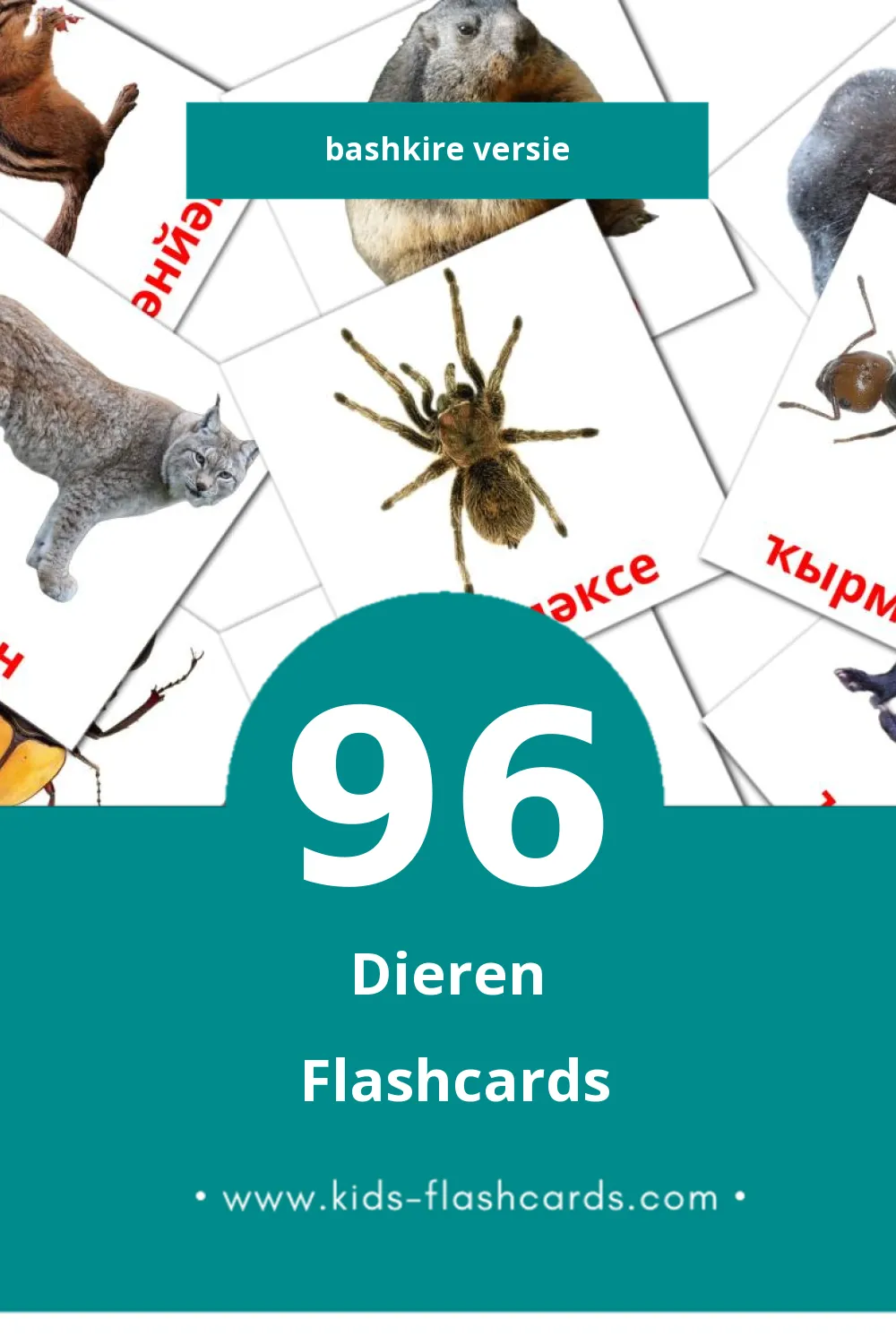 Visuele Животни Flashcards voor Kleuters (96 kaarten in het Bashkir)