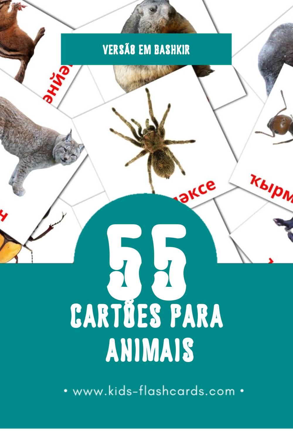 Flashcards de Животни Visuais para Toddlers (91 cartões em Bashkir)