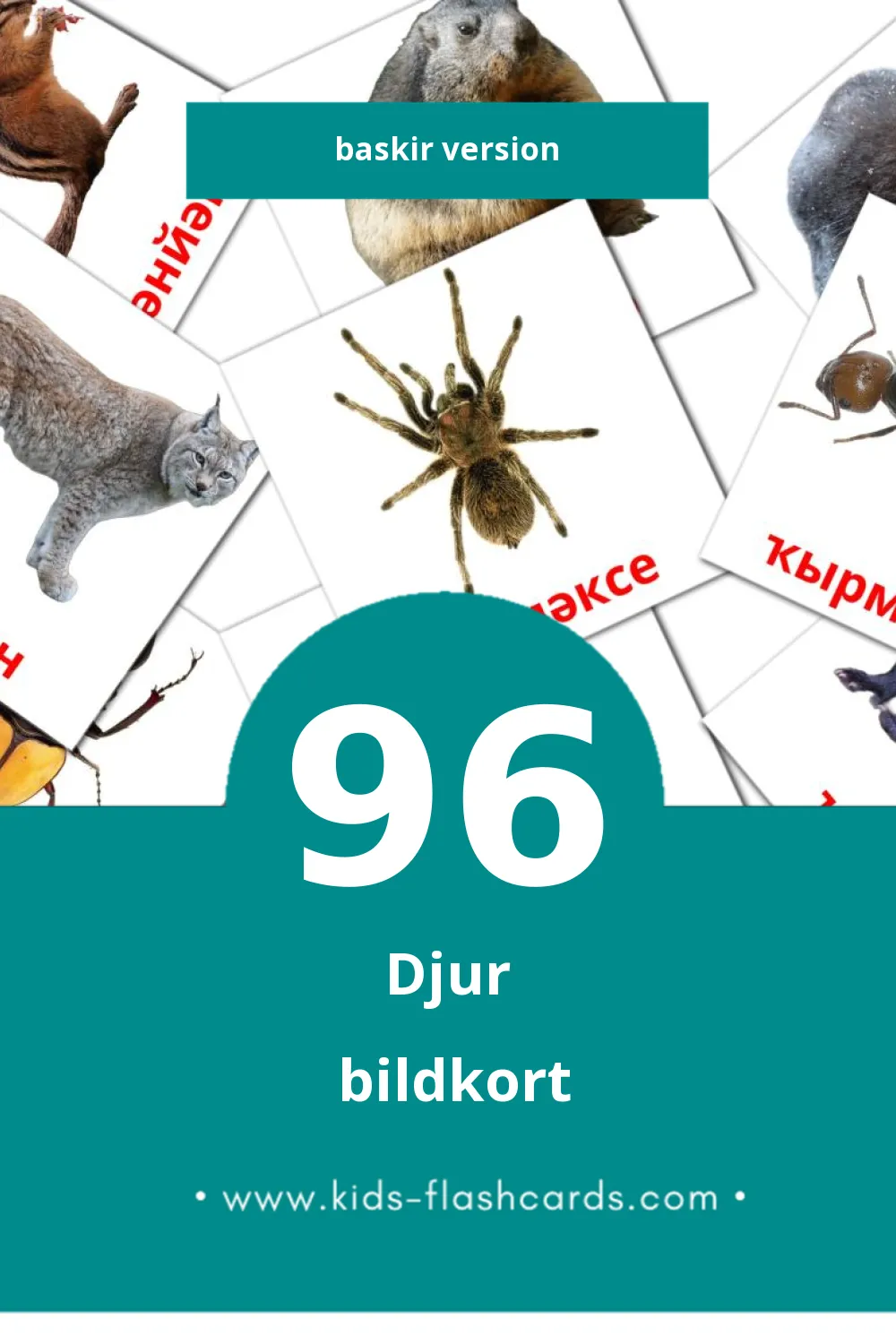 Visuella Животни för småbarn (96 bildkort för barn på Baskir)