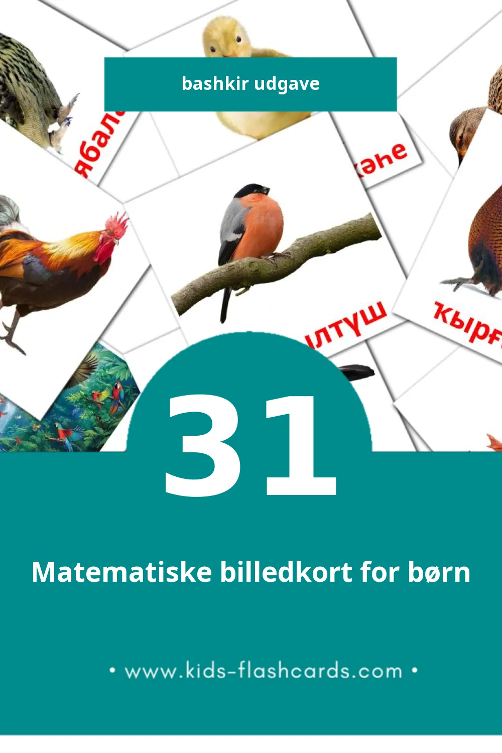 Visuelle billedkort for børn om Ҡоштар til småbørn (31 kort på Bashkir)