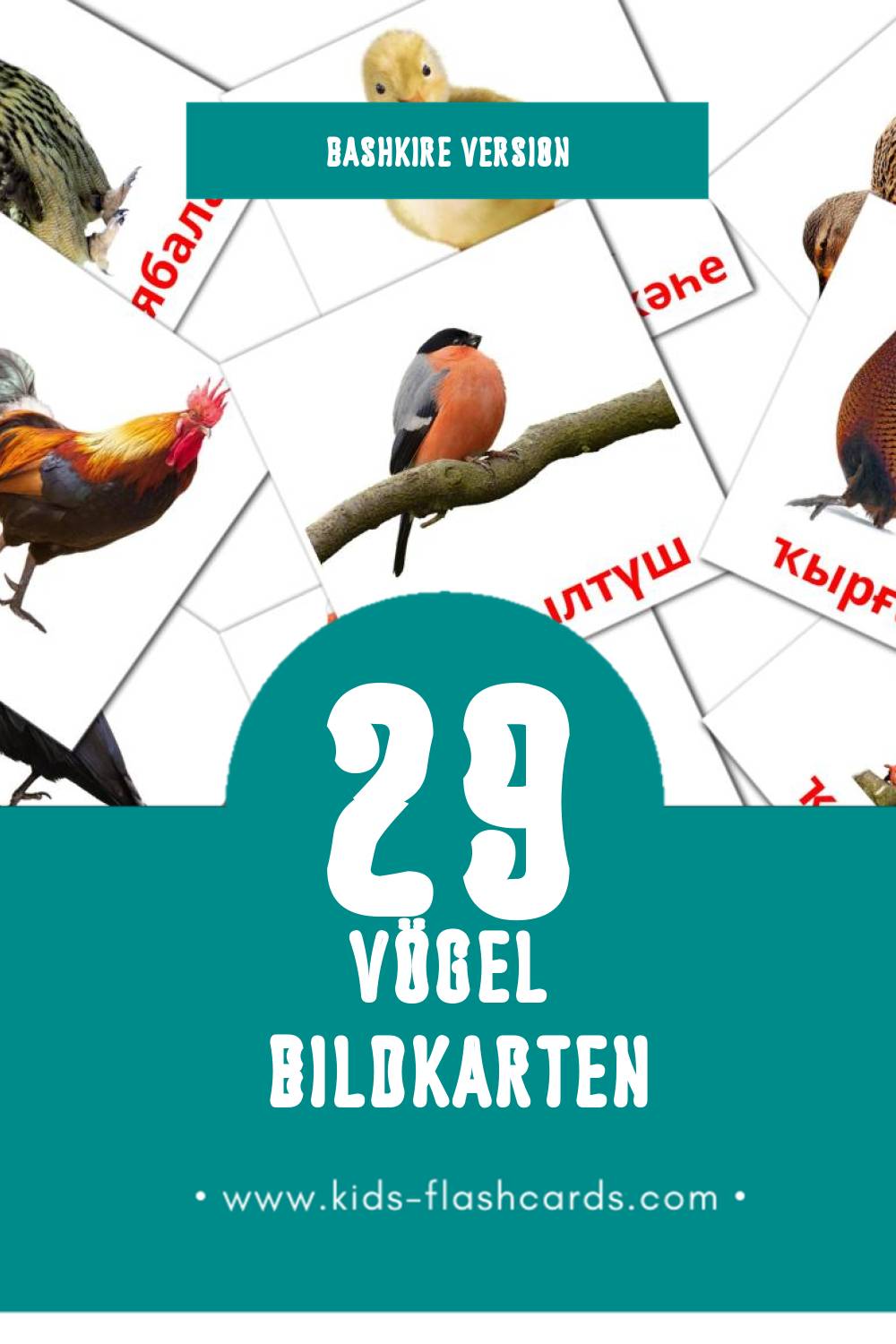 Visual Ҡоштар Flashcards für Kleinkinder (29 Karten in Bashkir)