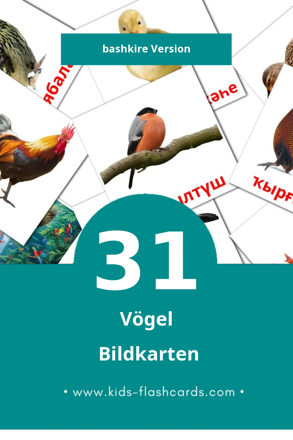 Visual Ҡоштар Flashcards für Kleinkinder (31 Karten in Bashkir)