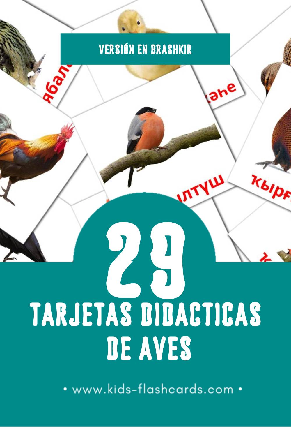 Tarjetas visuales de Ҡоштар para niños pequeños (29 tarjetas en Brashkir)