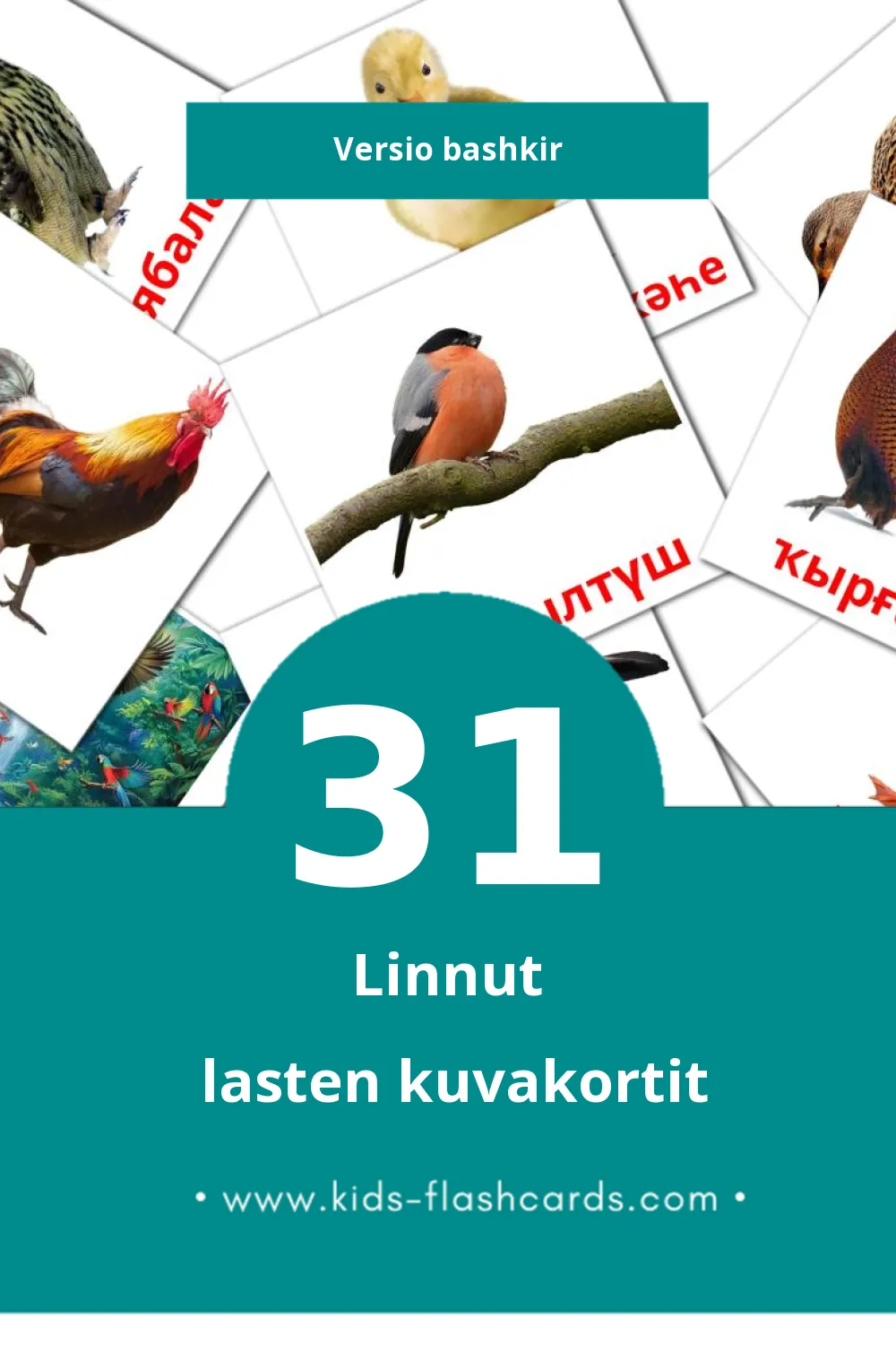 Ҡоштар lasten kuvakortit pikkulapsille (31 korttia Bashkirksi)