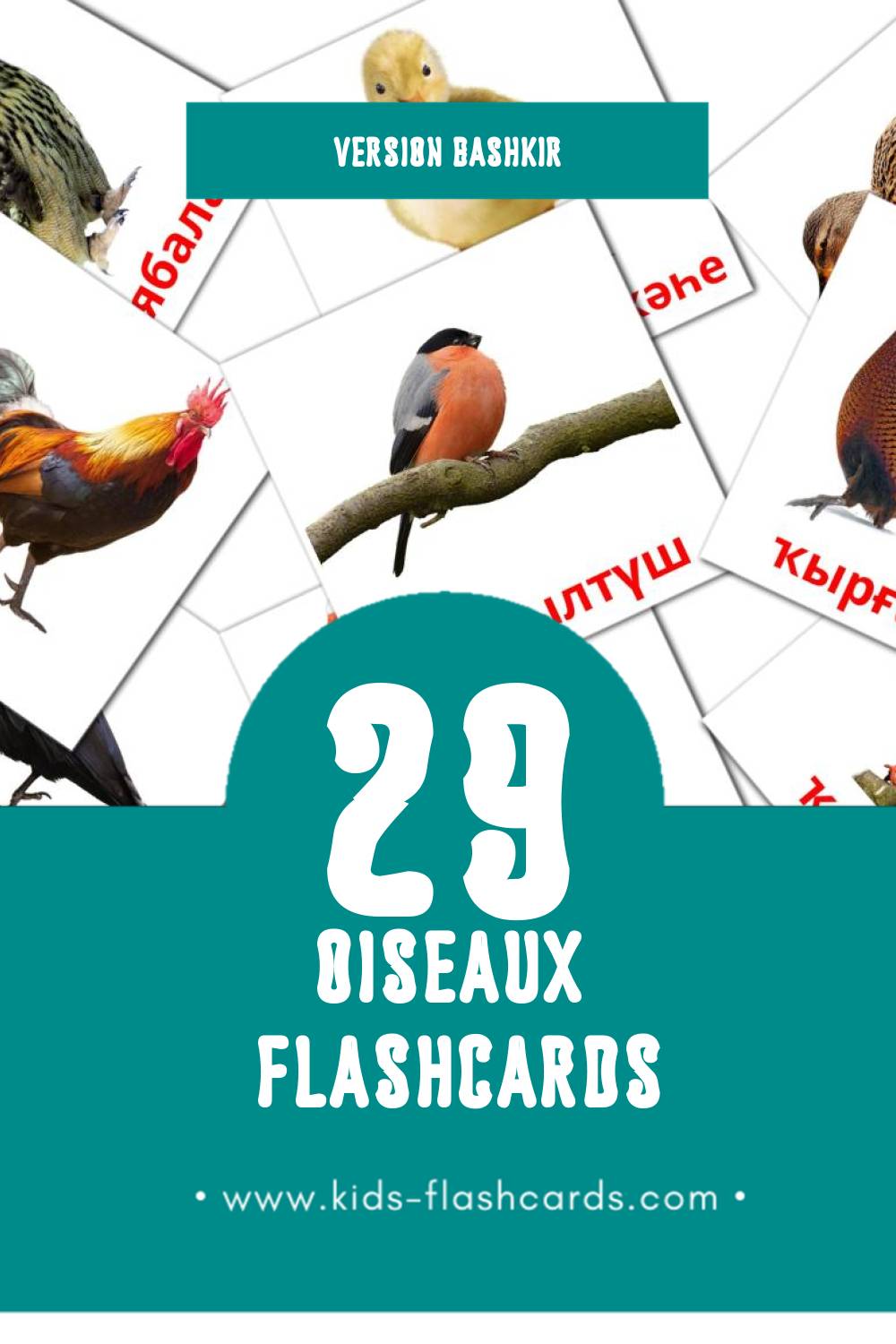 Flashcards Visual Ҡоштар pour les tout-petits (29 cartes en Bashkir)