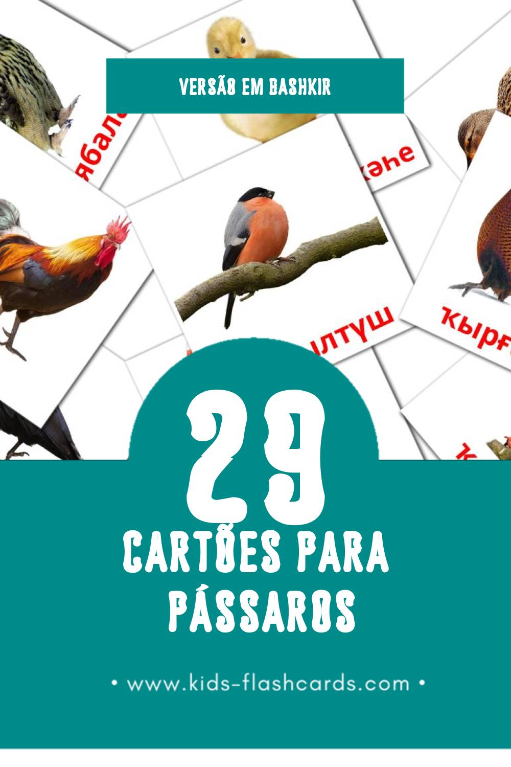 Flashcards de Ҡоштар Visuais para Toddlers (29 cartões em Bashkir)