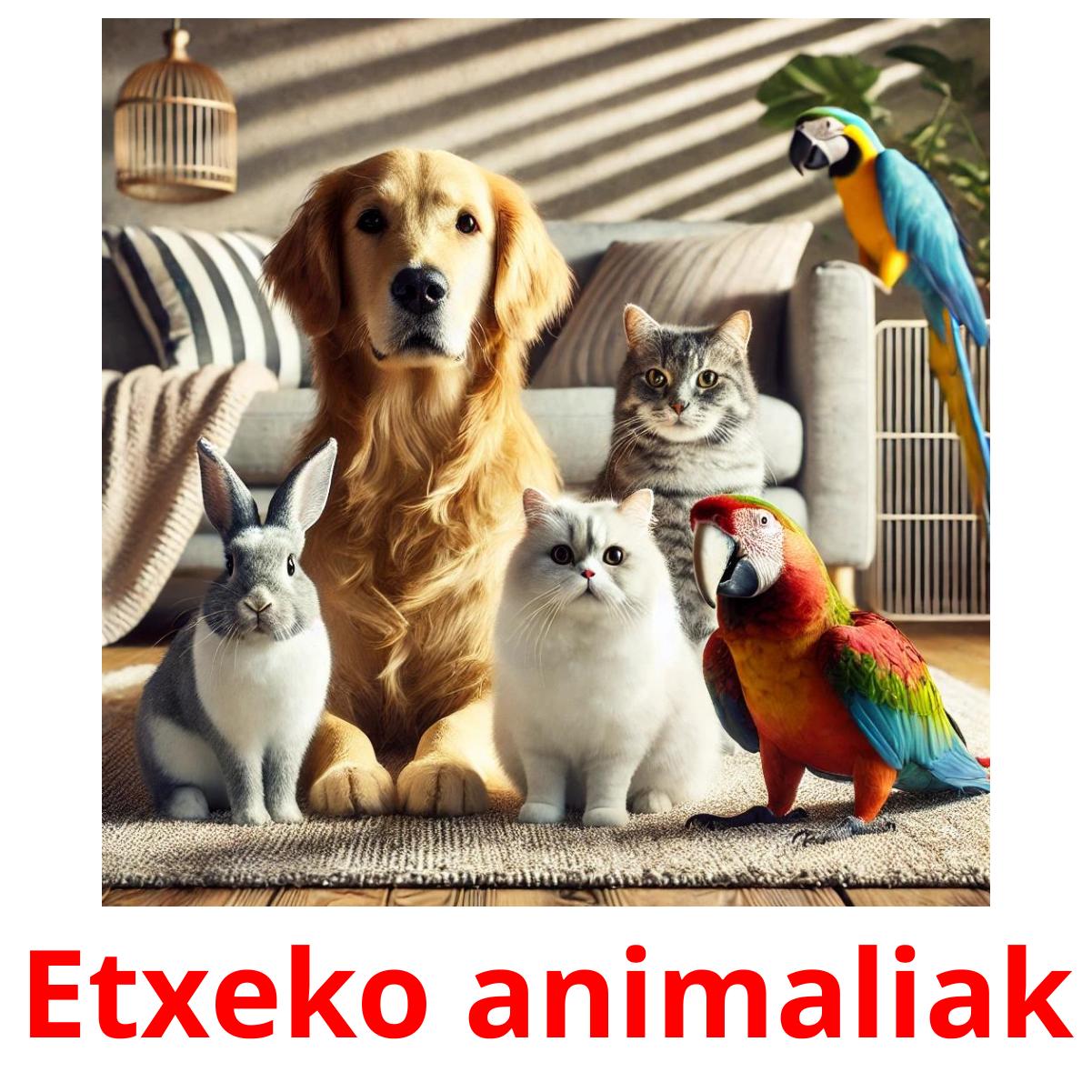 Etxeko animaliak Bildkarteikarten