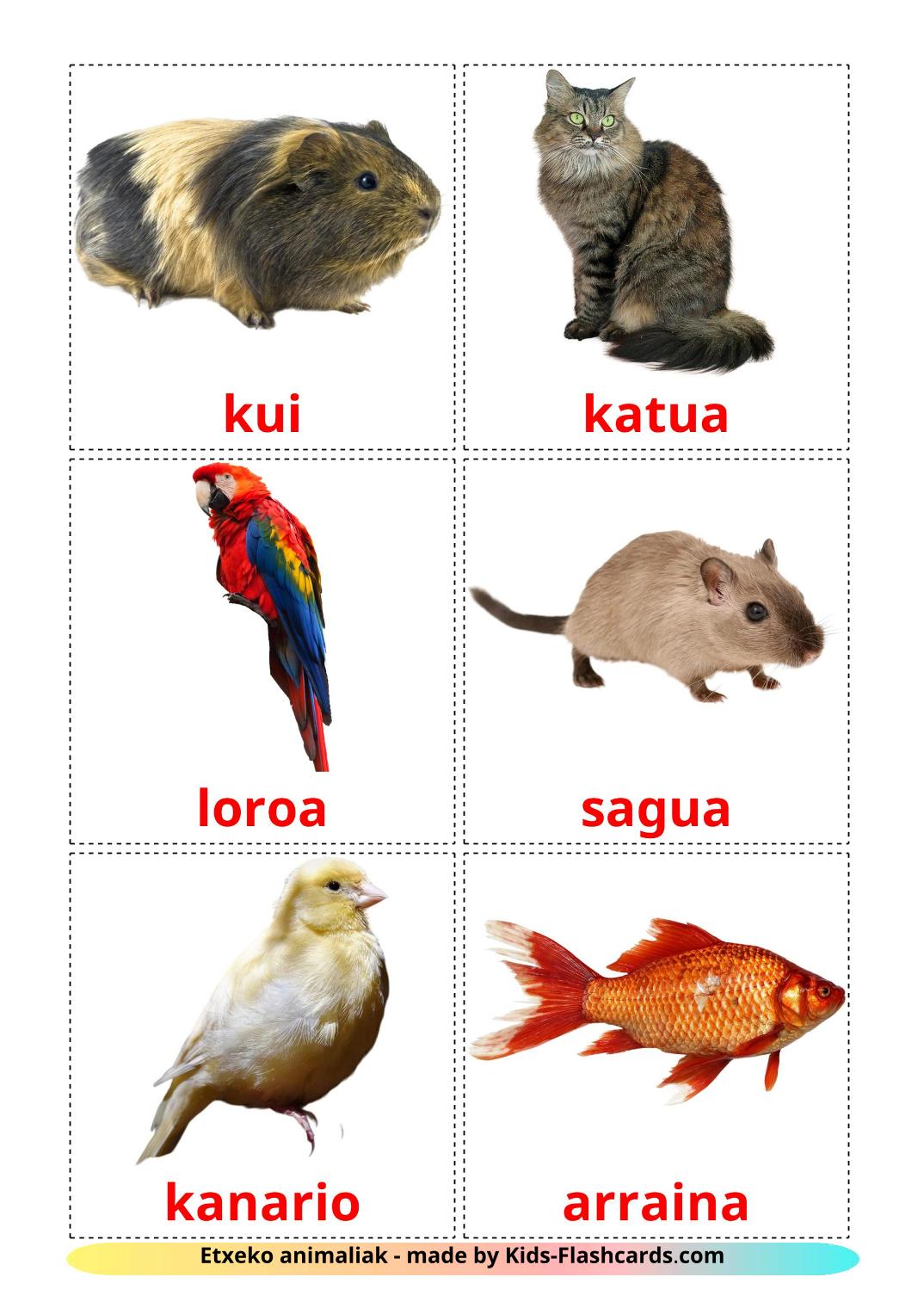 Domestic animals - 10 Free Printable basque Flashcards 