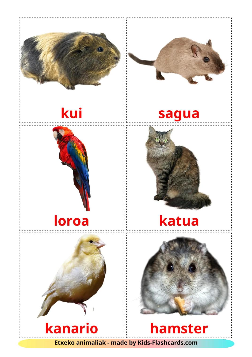 Animales Domésticos - 11 Flashcards euskeraes gratuitos para impressão