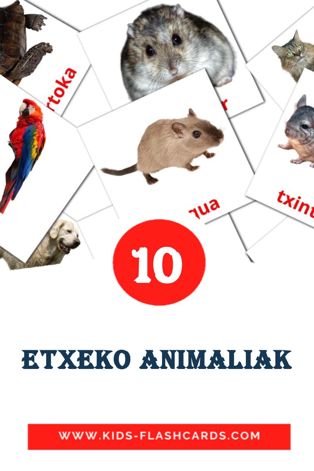 10 Cartões com Imagens de Etxeko animaliak para Jardim de Infância em basco