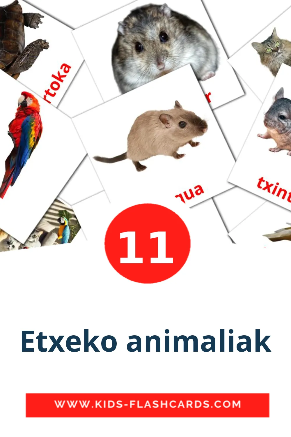 11 Cartões com Imagens de Etxeko animaliak para Jardim de Infância em euskera