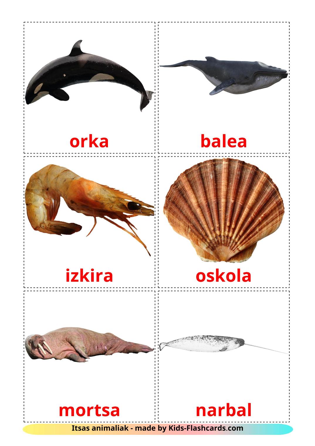 Zeedieren - 29 gratis printbare baskische kaarten