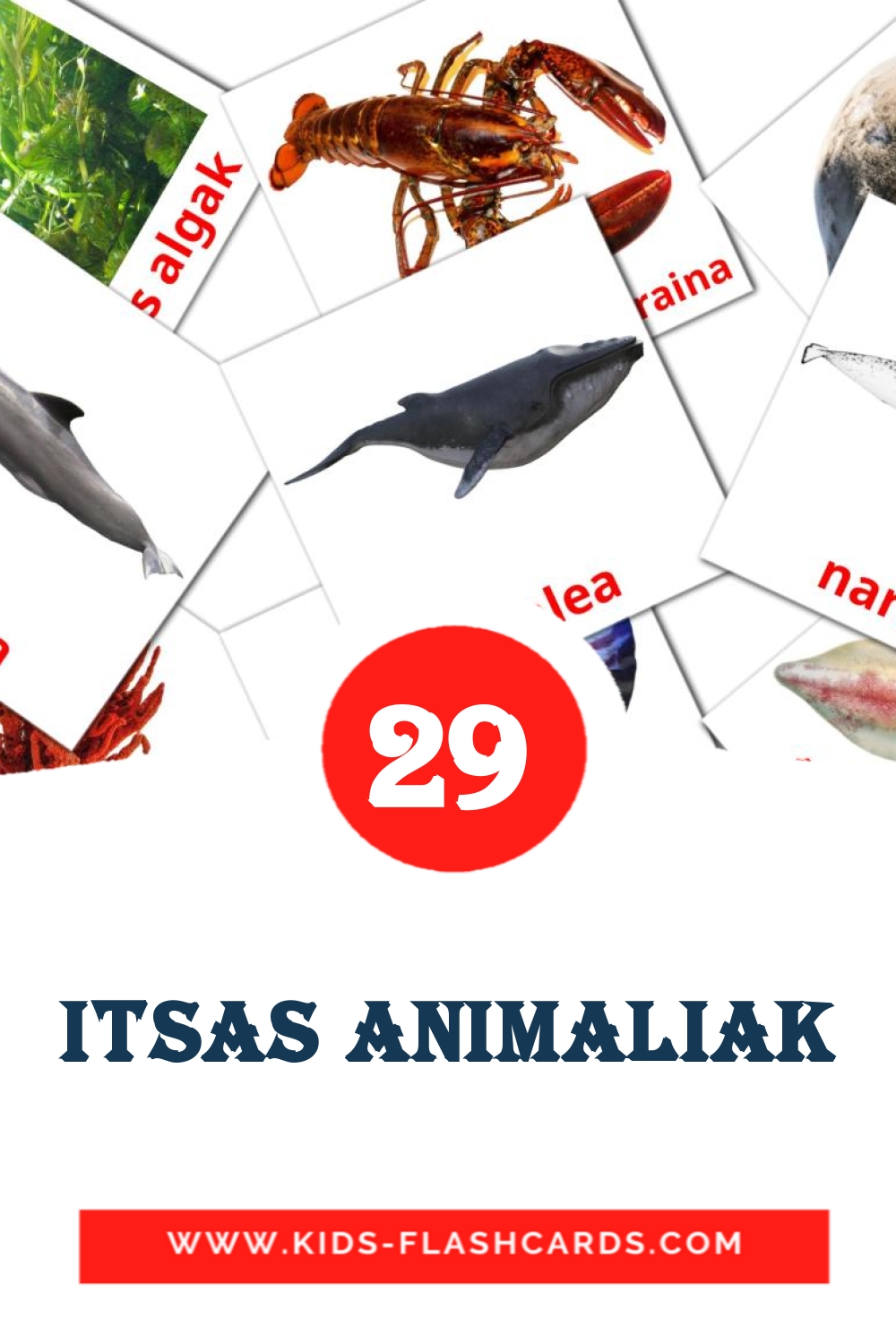29 tarjetas didacticas de Itsas animaliak para el jardín de infancia en euskera