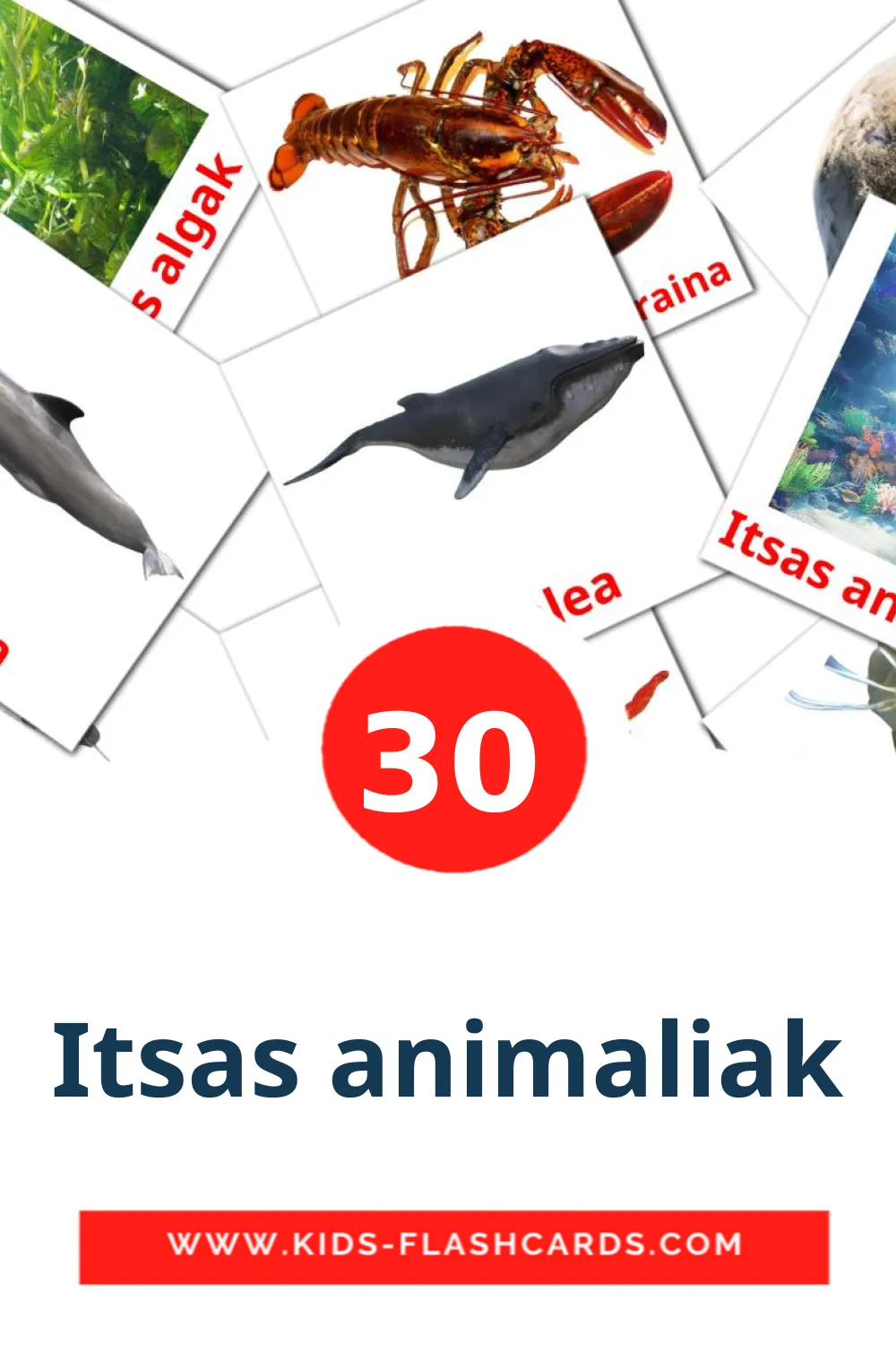 30 carte illustrate di Itsas animaliak per la scuola materna in basco