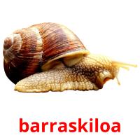 barraskiloa flashcards illustrate