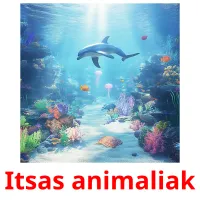 Itsas animaliak flashcards illustrate