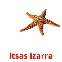 itsas izarra flashcards illustrate