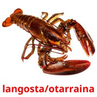 langosta/otarraina flashcards illustrate