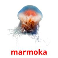 marmoka picture flashcards