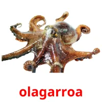 olagarroa flashcards illustrate