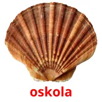 oskola flashcards illustrate