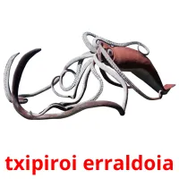 txipiroi erraldoia flashcards illustrate