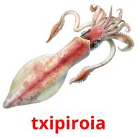 txipiroia flashcards illustrate