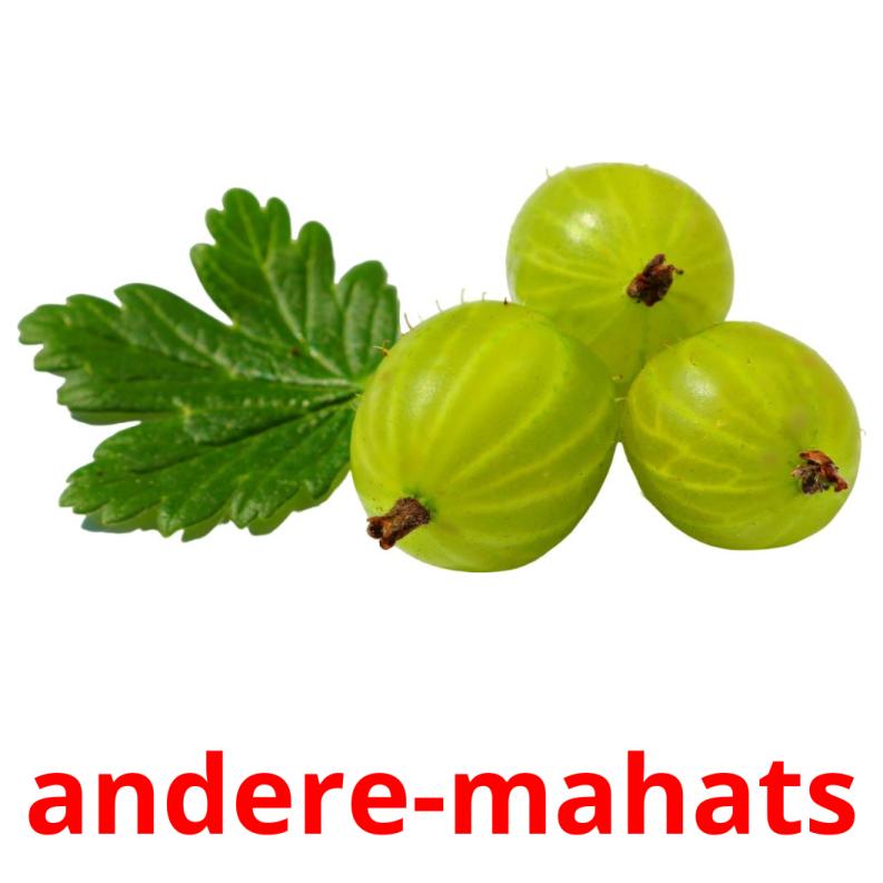 andere-mahats picture flashcards