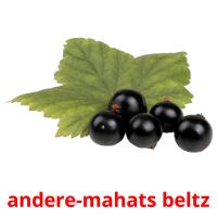 andere-mahats beltz picture flashcards
