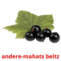 andere-mahats beltz cartes flash